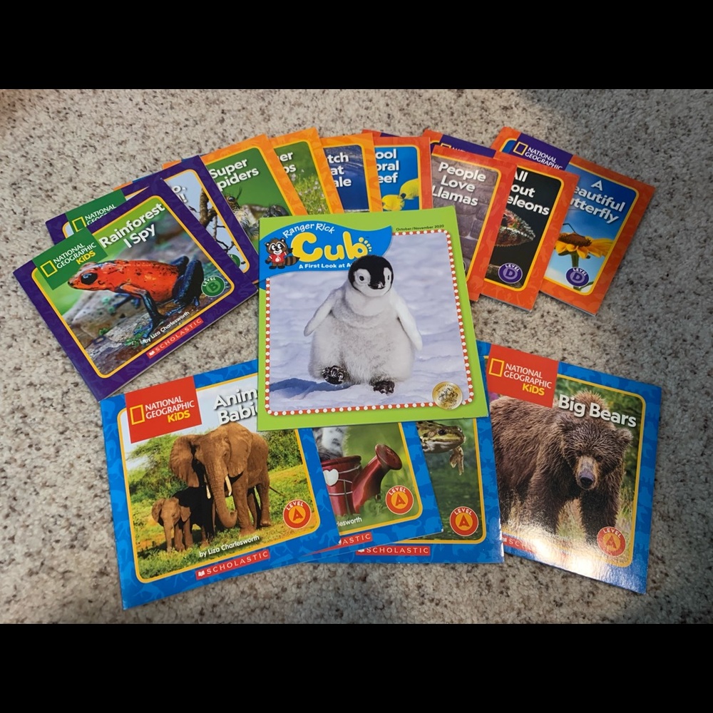SOLD Multi Level Beginner Reader Books